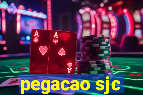 pegacao sjc